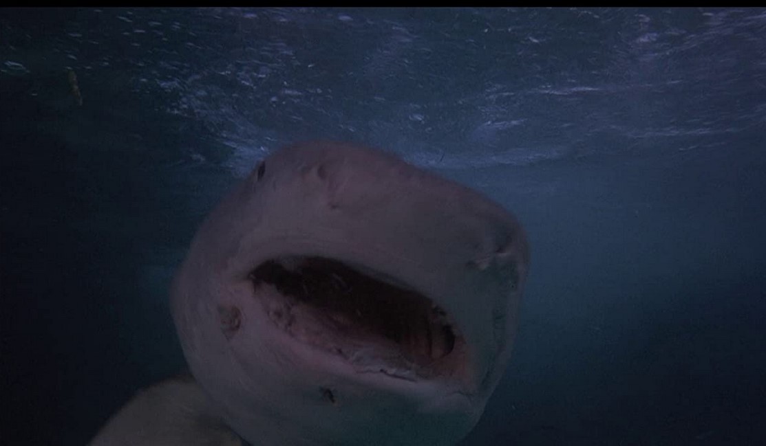 Les Dents D'Acier (1977) 
