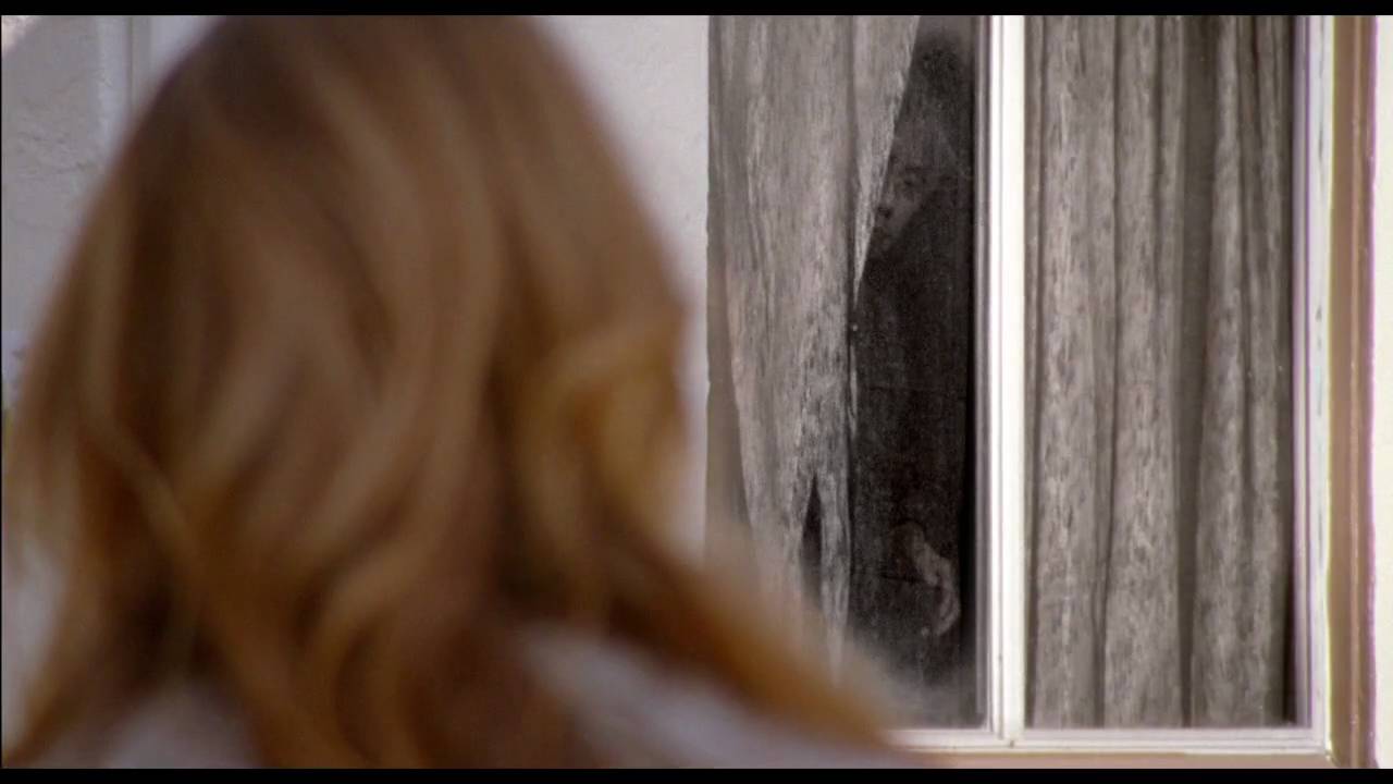 Dark Mirror (2007)