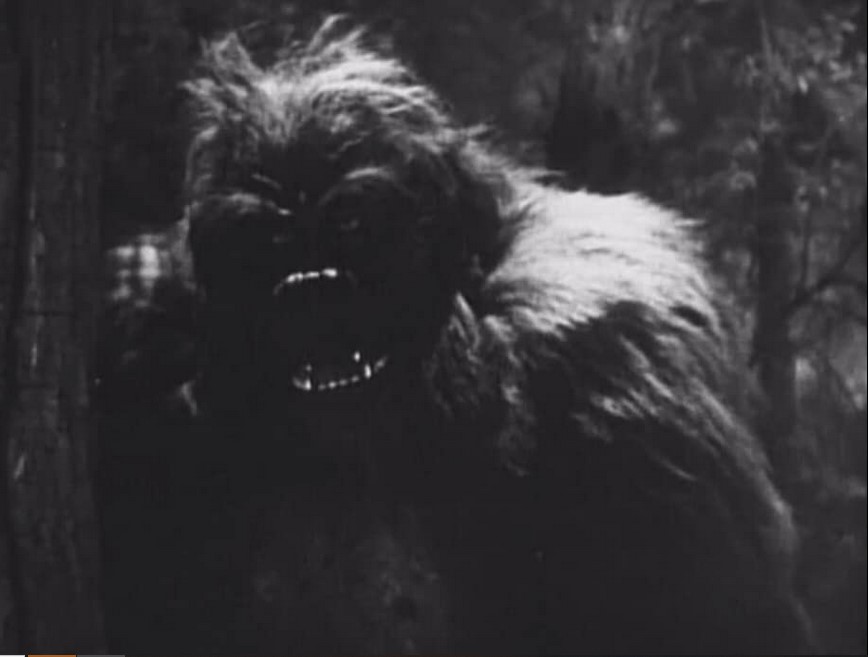 Le Singe Tueur (1940) 