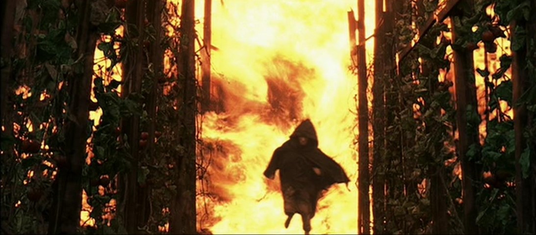 Le Règne du Feu (2002)