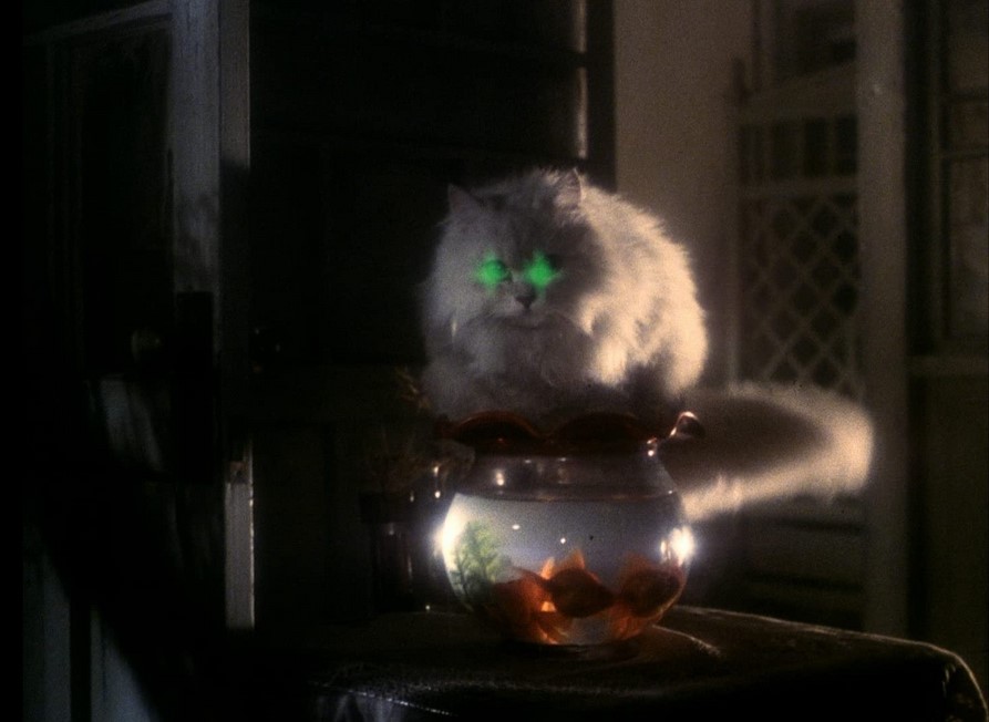 House (1977)