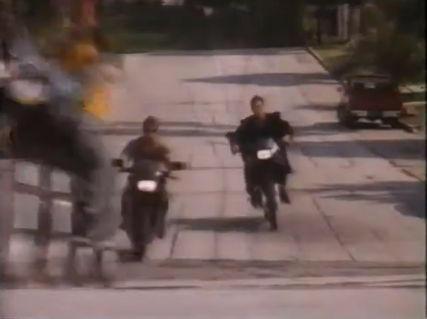 Le Crépuscule des Vampires (1991) 