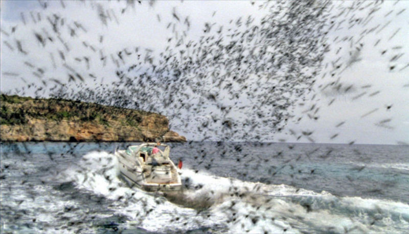 Killer Bees - Les Abeilles Tueuses (2008) 