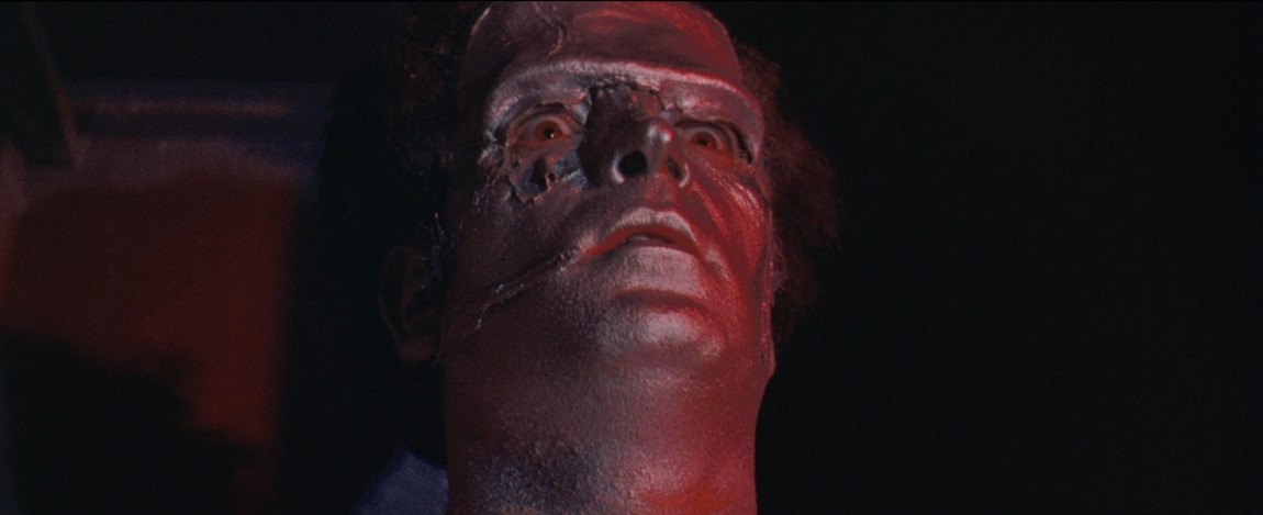 La Malédiction De Frankenstein (1973) 