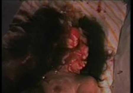 Goblet Of Gore (1996)
