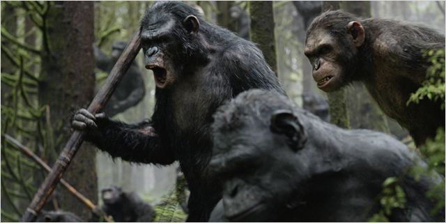La Planète Des Singes - L'Affrontement (2014)