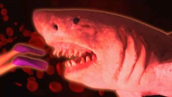 Nanoshark (2024)