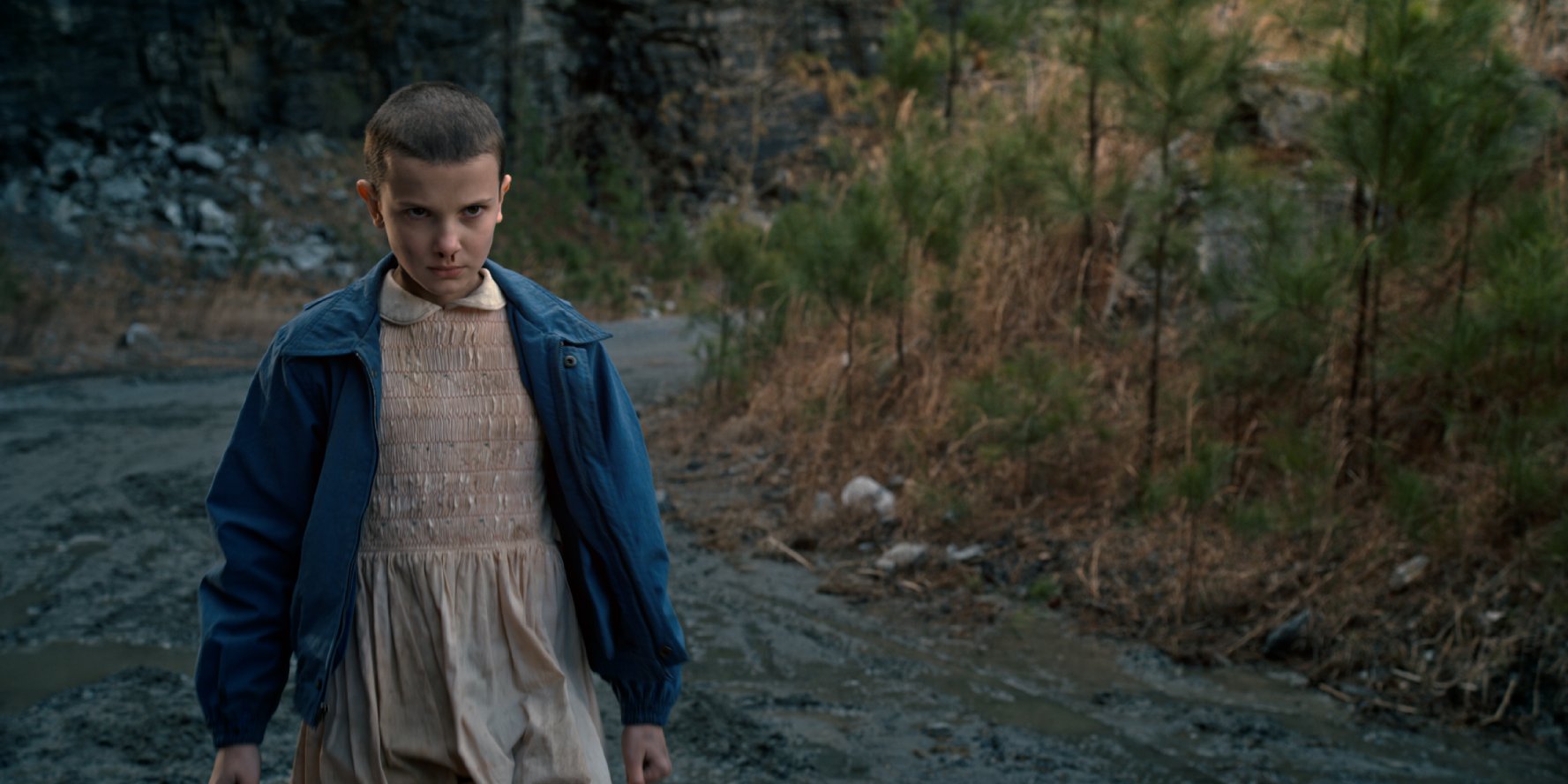 Stranger Things - Saison 1