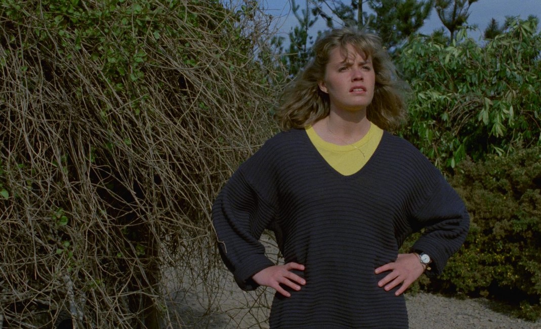 Link (1986) 