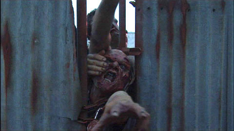 La Nuit Des Morts-Vivants 3D (2006)  