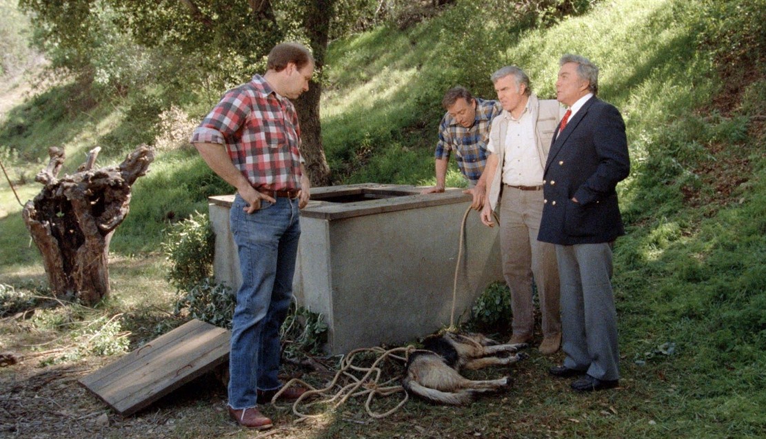 Memorial Valley Massacre (1988) 