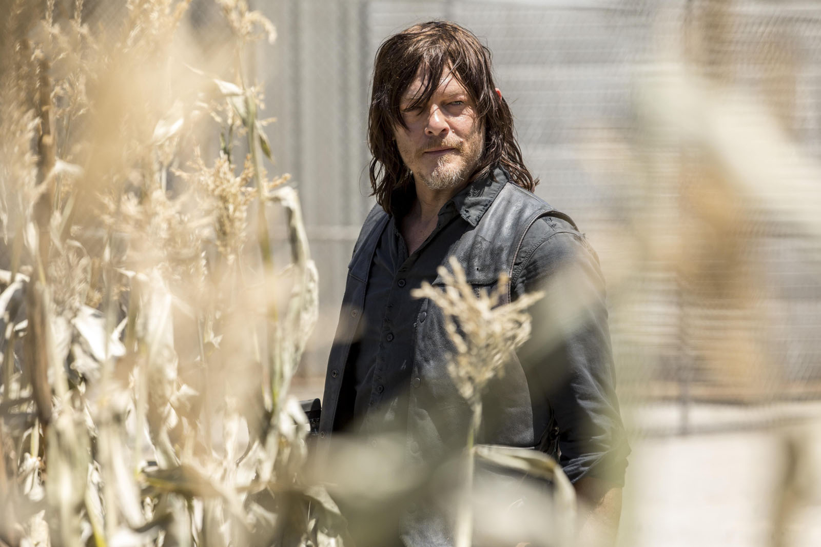 The Walking Dead - Saison 9
