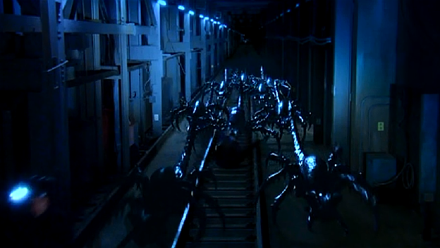 Bugs - 2003