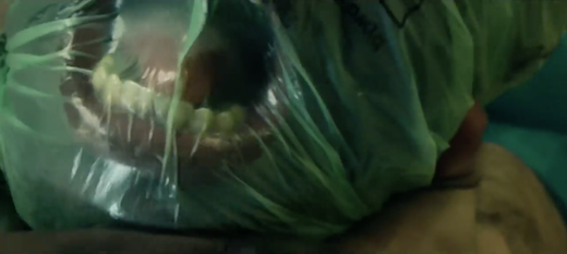 Silent Night, Bloody Night : The Homecoming (2013)