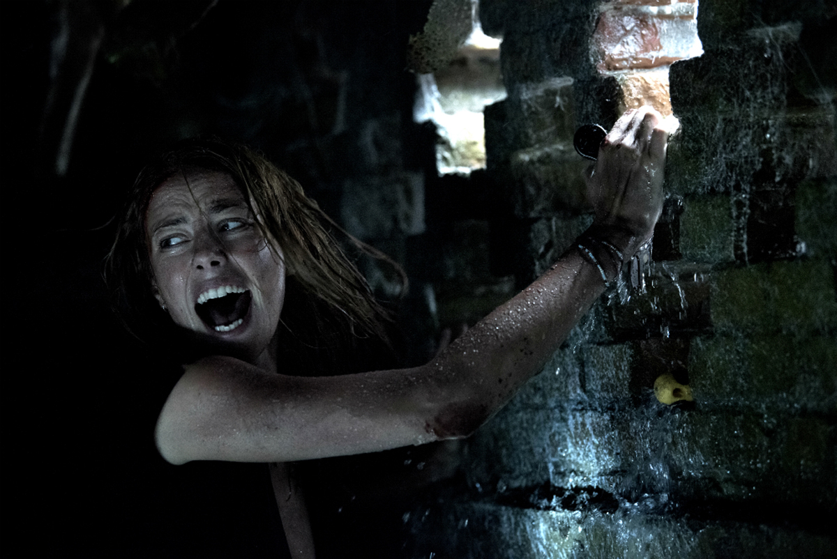 Crawl (2019)  