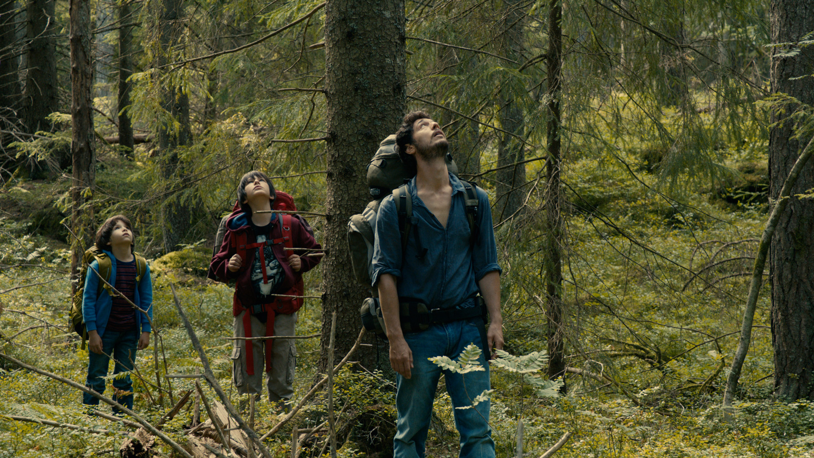 Dans La Forêt de Gilles Marchand - 2016 / Thriller  