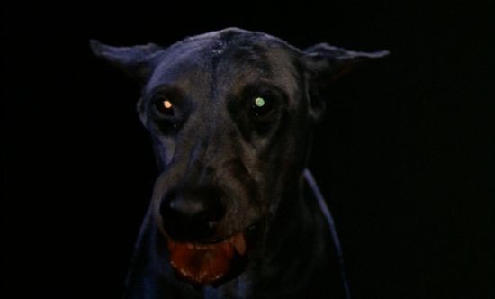  Zoltan - Le Chien Sanglant De Dracula