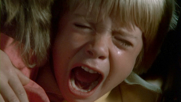 Cujo de Lewis Teague - 1983 / Fantastique - Horreur