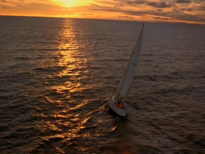 Visitors (2003) 