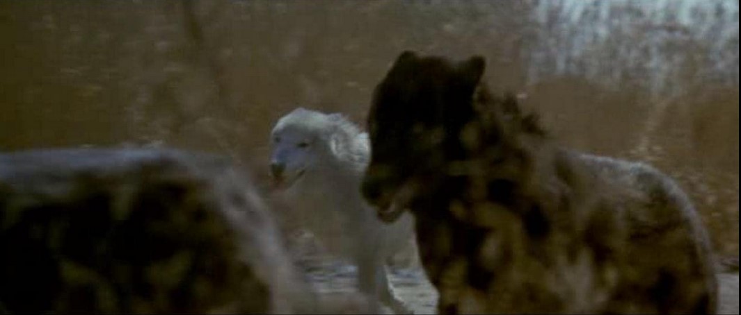 Wolfen (1981) 