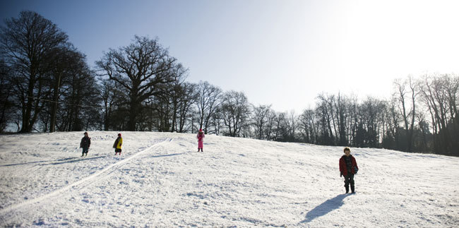The Children (2008) 