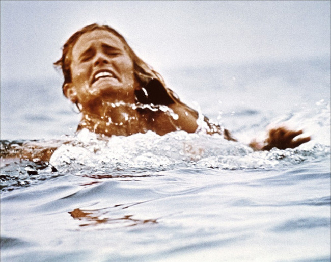 Les Dents De La Mer de Steven Spielberg - 1975 / Horreur - Animal Tueur