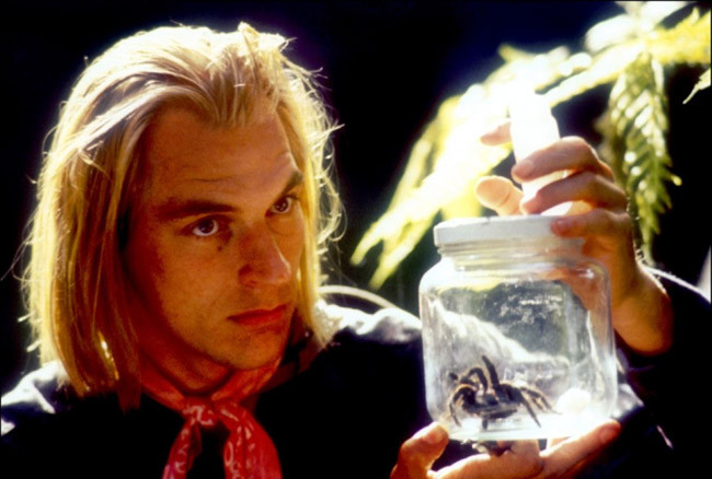 Arachnophobie de Frank Marshall - 1990