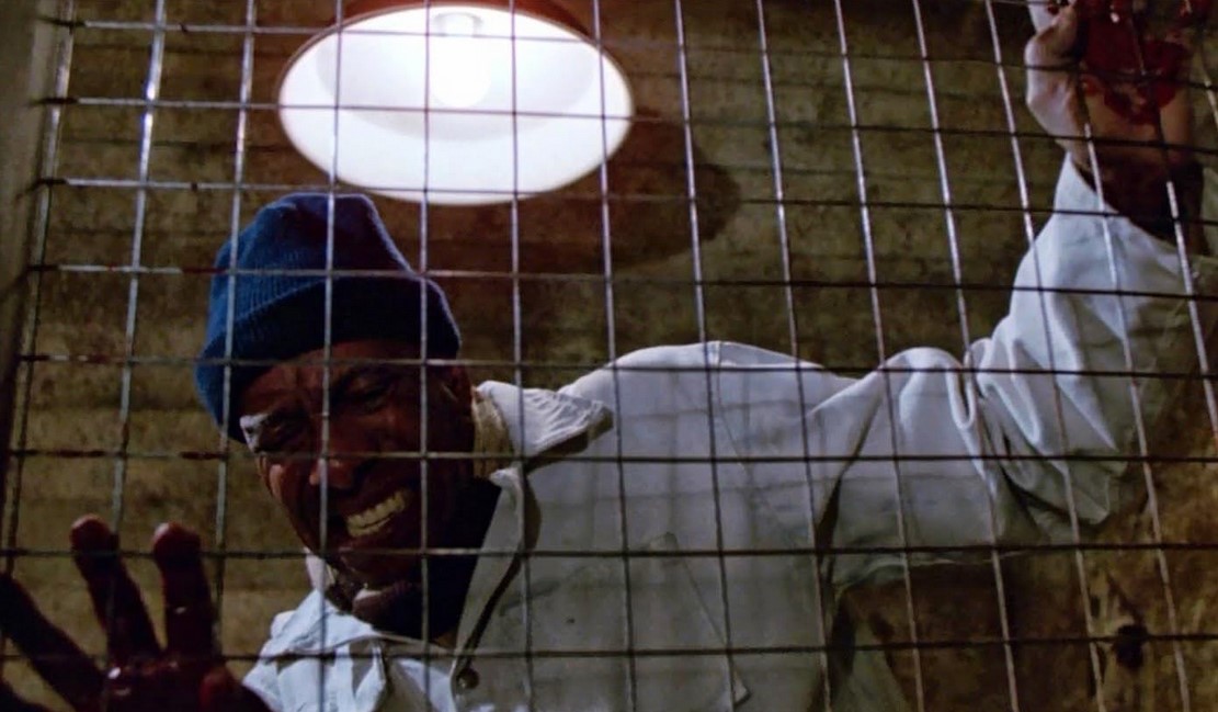 Les Rats Attaquent (1982)