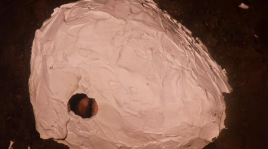 Crucible Of Terror (1971)