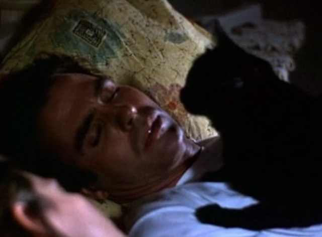 Les Forces Du Mal (1995)