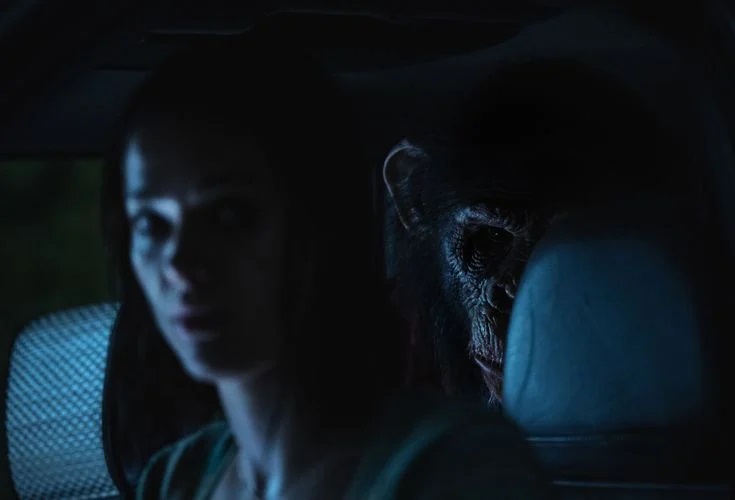 Primate (2025)