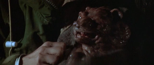 Prophecy - Le Monstre Est Né de John Frankenheimer - 1979 / Horreur - Animal Tueur  