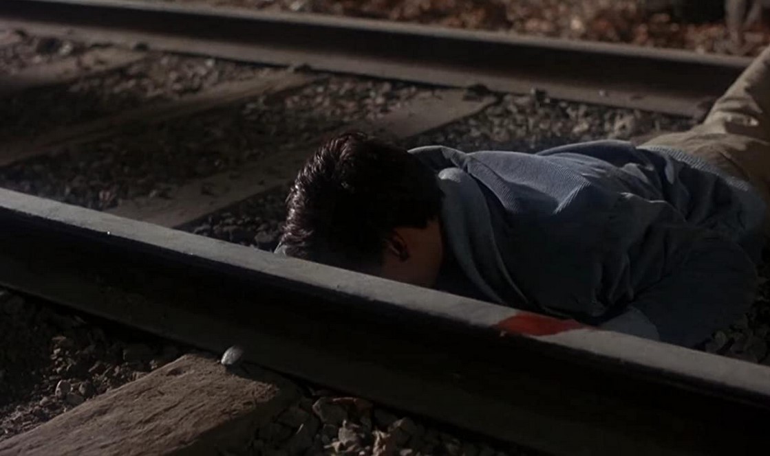 Vengeance Diabolique (1991) 