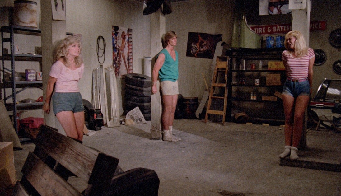 Evils Of the Night (1985)