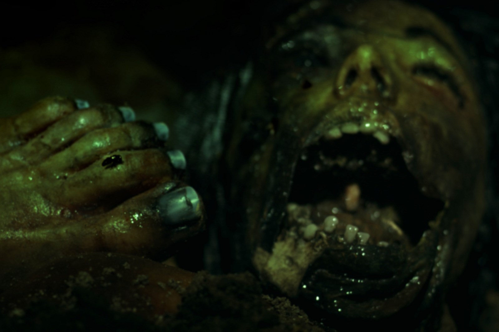 Charlie's Farm (2014)