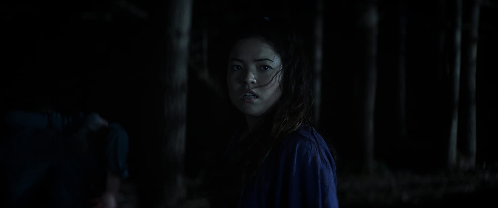 The Wretched (2019)