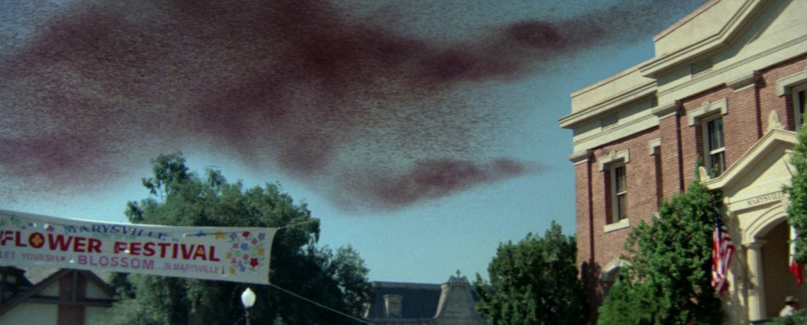 L'Inévitable Catastrophe (1978) 