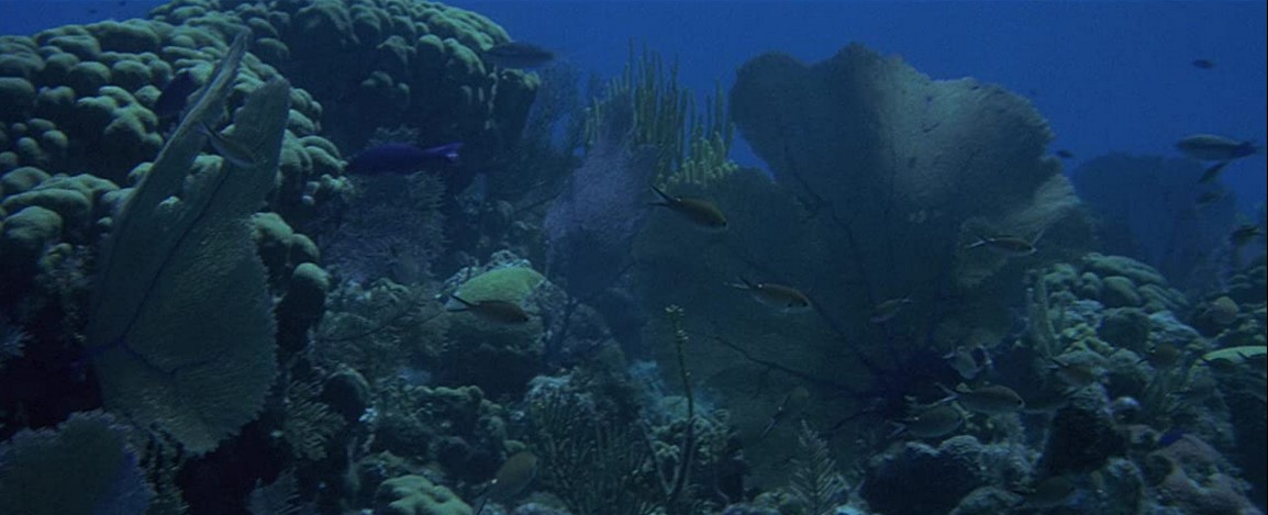 L'Odyssée Sous La Mer (1973) 