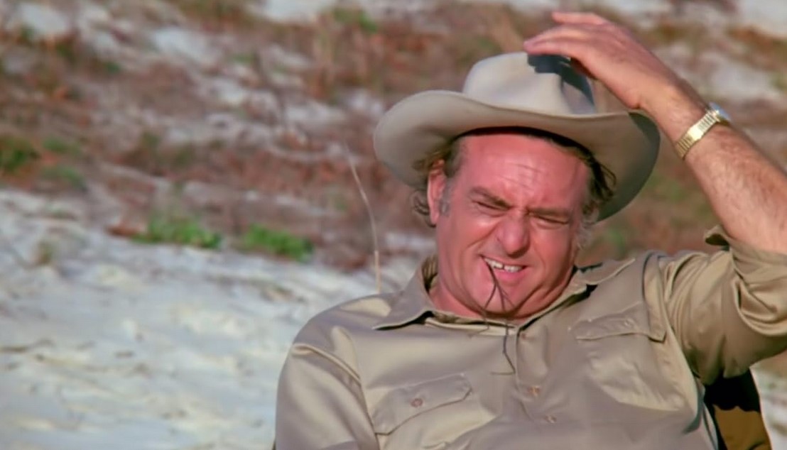 Zaat (1971) 