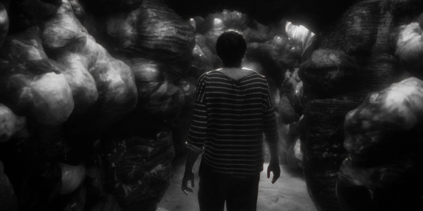 Else (2024) 
