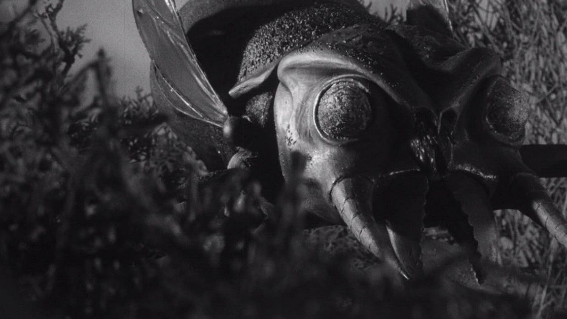 Les Monstres de l'Enfer Vert (1957)