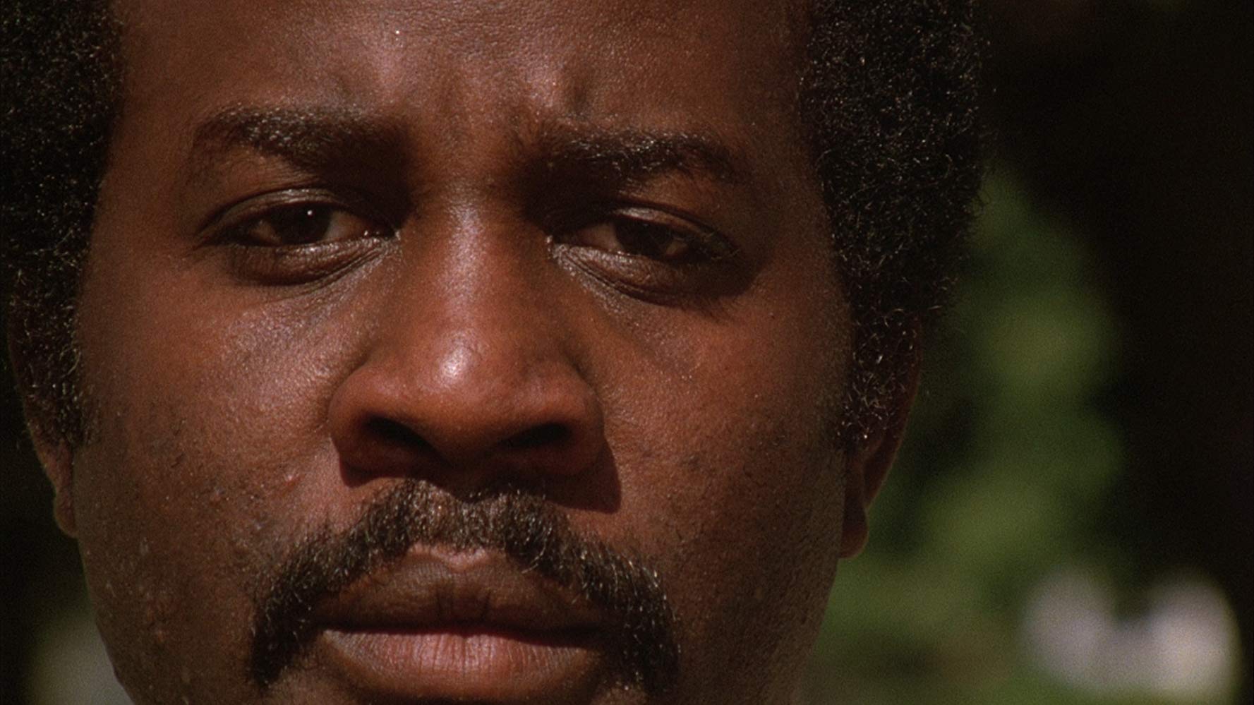 Dressé Pour Tuer (1982)