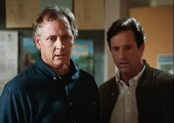 Frelons (1995)