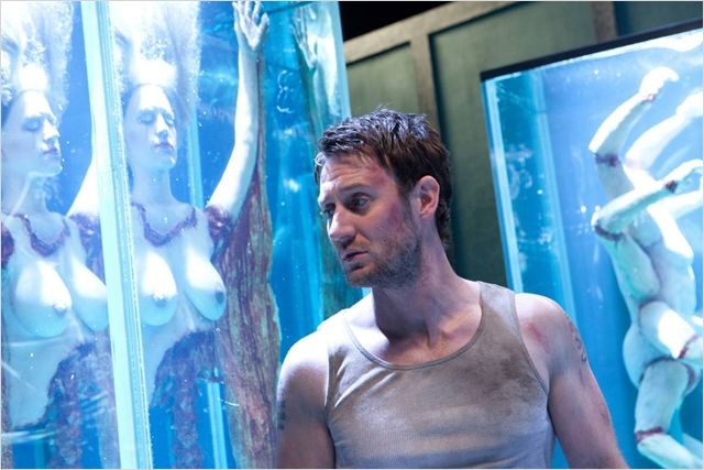 The Collection (2012) 