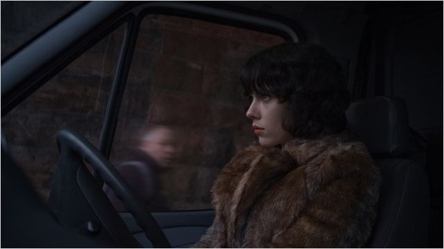 Under The Skin (2013)  