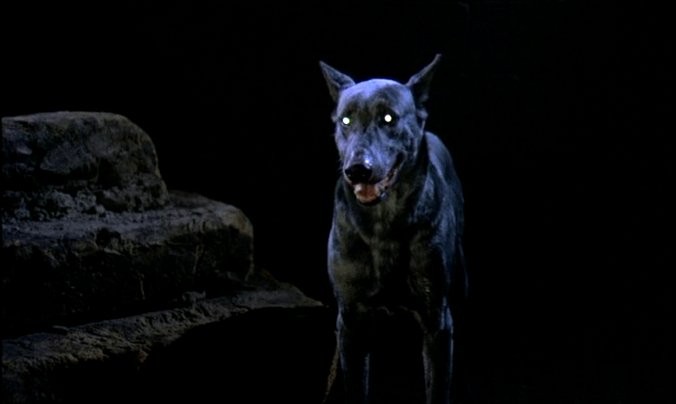  Zoltan - Le Chien Sanglant De Dracula