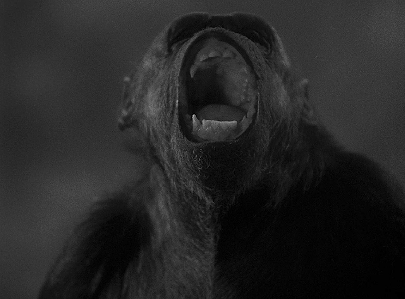 Double Assassinat Dans La Rue Morgue (1932)