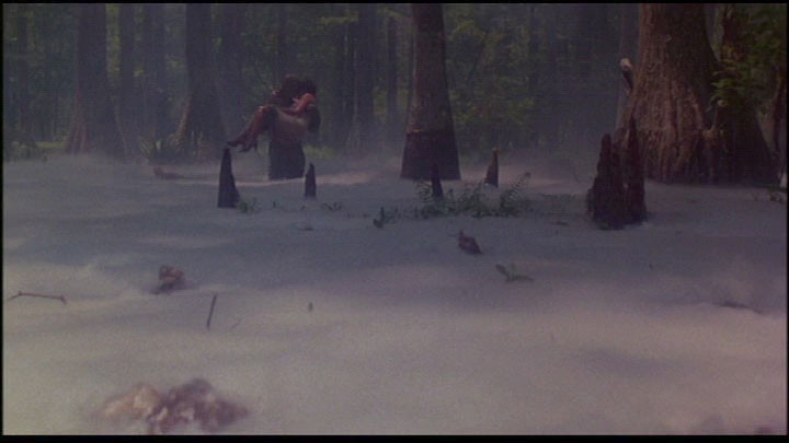 La Créature Du Marais (1982) 