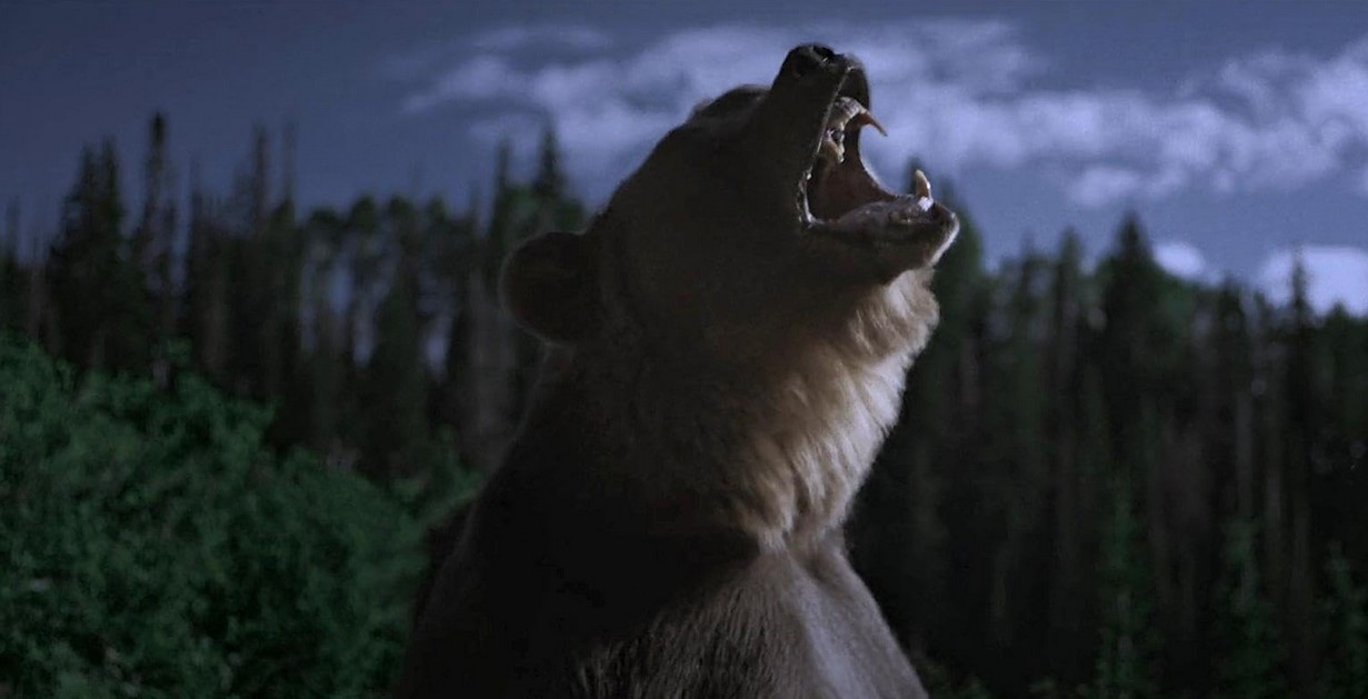 Grizzly Night (2026)