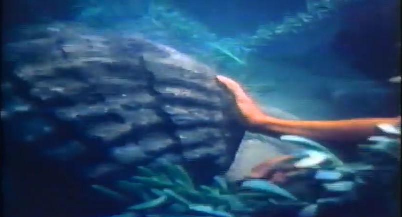 La Perle Noire (1977)